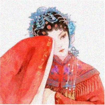 读者迟野的头像
